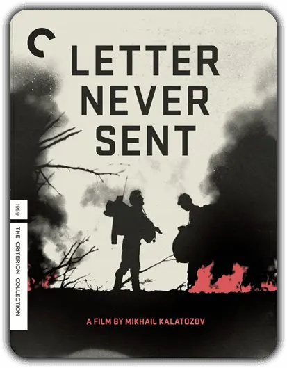 Letter Never Sent